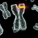 Illustration for article titled Human mutation is much more unusual than we ever suspected